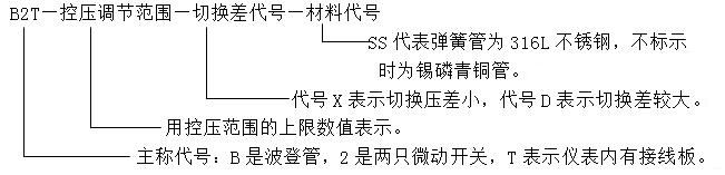 B2T型壓力控制器